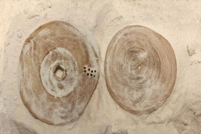 Photographic Print, , small