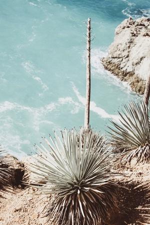 Photographic Print, , small