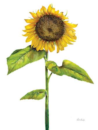 Art Print, , small