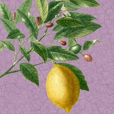 Art Print, , small