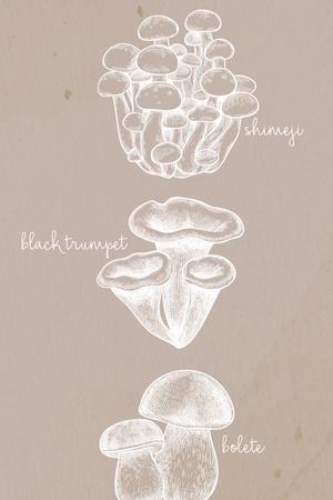 Art Print, , small