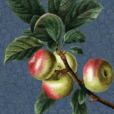 Art Print, , small