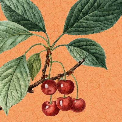 Art Print, , small