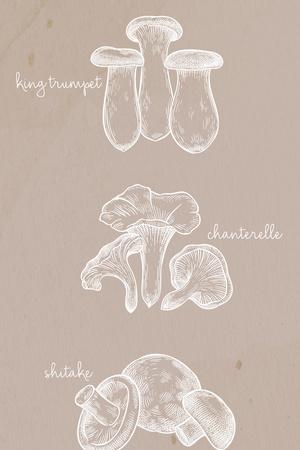 Art Print, , small