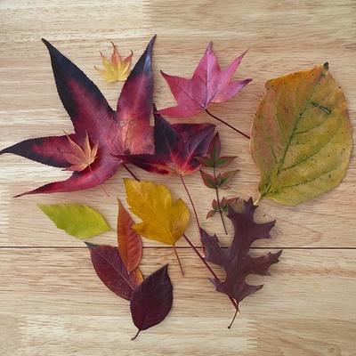 Photographic Print, , small