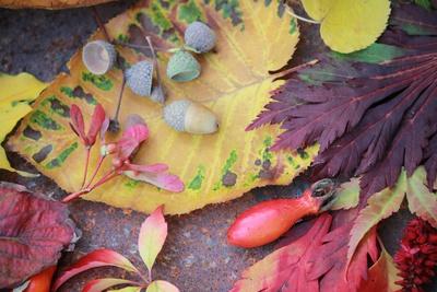 Photographic Print, , small