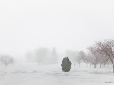 Photographic Print, , small