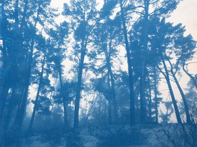 Photographic Print, , small
