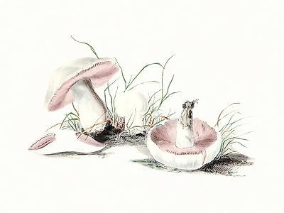 Giclee Print, , small