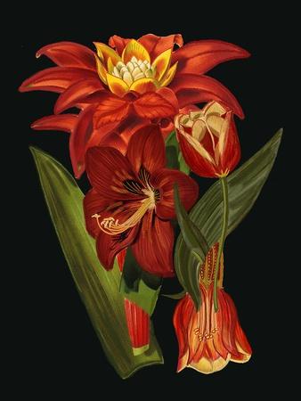 Giclee Print, , small