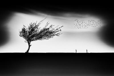 Giclee Print, , small