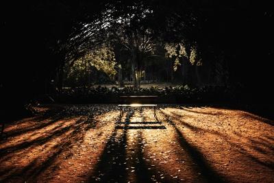 Photographic Print, , small