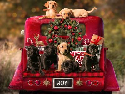 Photographic Print, , small