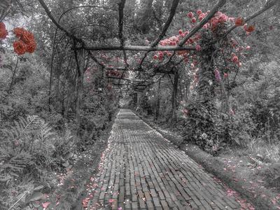 Art Print, , small