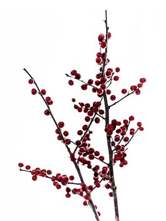 Photographic Print, , small