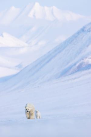 Photographic Print, , small