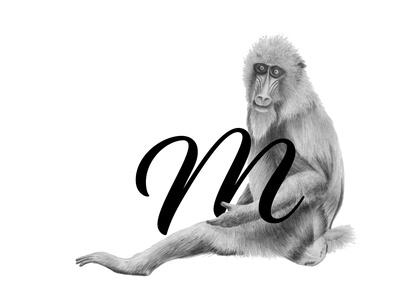 Art Print, , small
