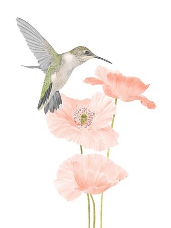Art Print, , small