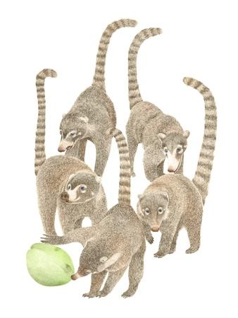 Art Print, , small