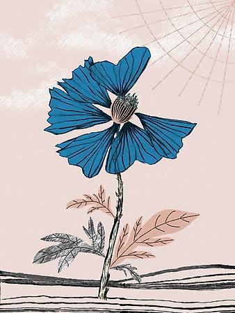 Art Print, , small