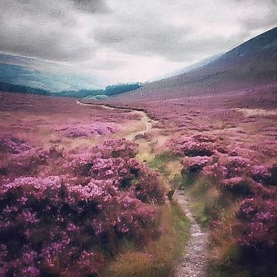 Art Print, , small