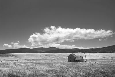 Photo, , small