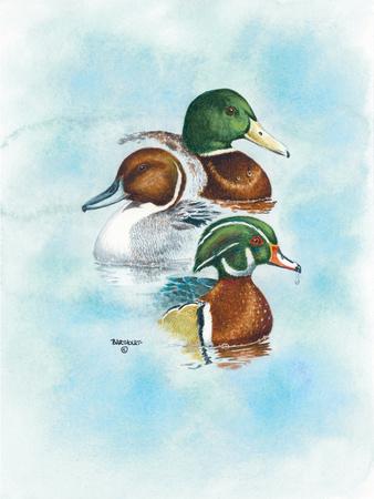 Art Print, , small