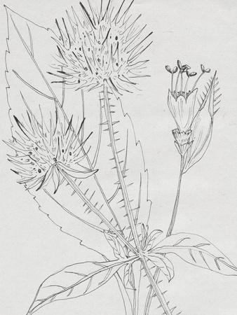 Art Print, , small
