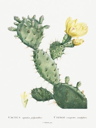 Art Print, , small