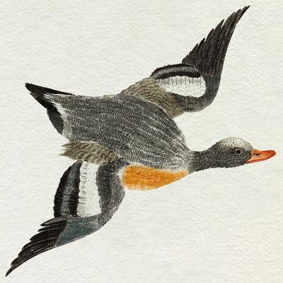 Art Print, , small