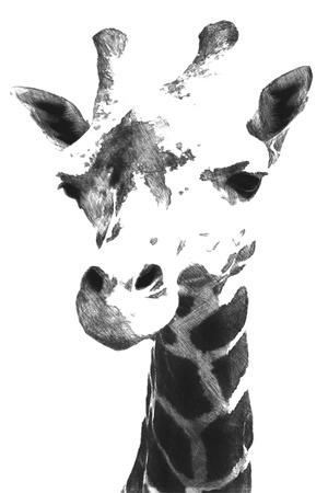 Art Print, , small