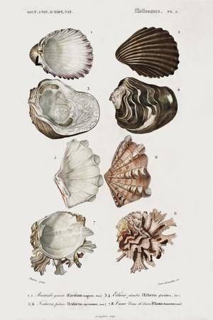Art Print, , small