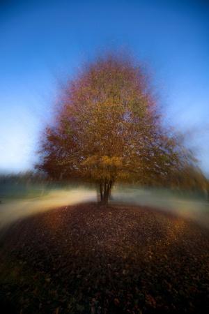 Photographic Print, , small