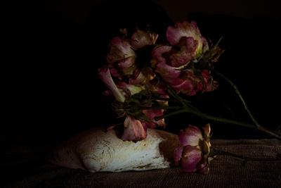 Photographic Print, , small