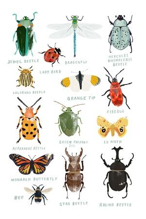 Art Print, , small