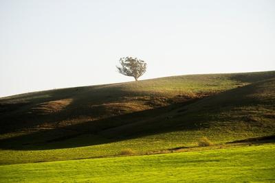Photographic Print, , small