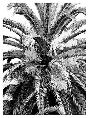 Art Print, , small