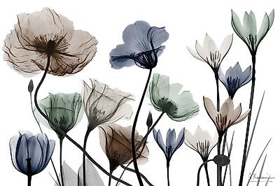 Art Print, , small