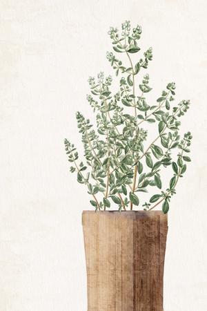 Art Print, , small