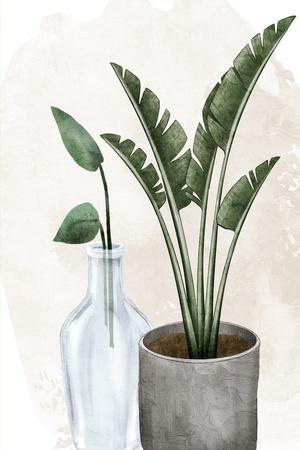 Art Print, , small