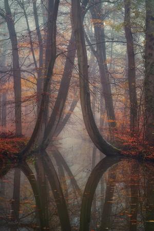 Art Print, , small