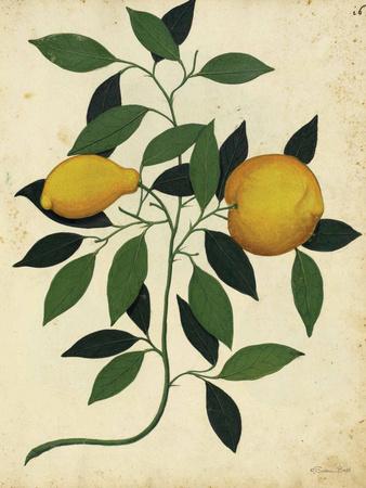 Art Print, , small