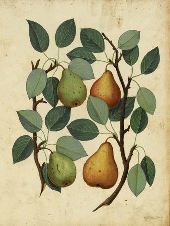 Art Print, , small