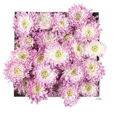 Art Print, , small