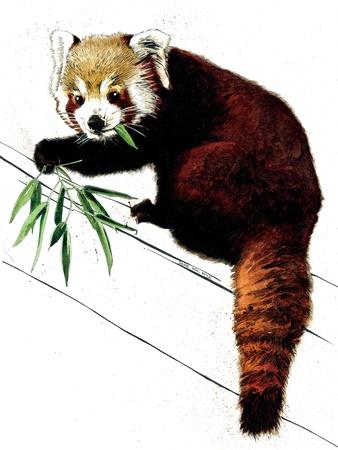 Giclee Print, , small