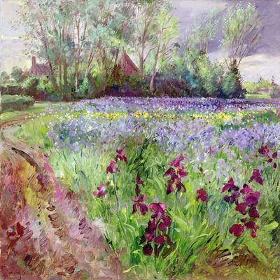 Giclee Print, , small