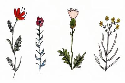 Art Print, , small