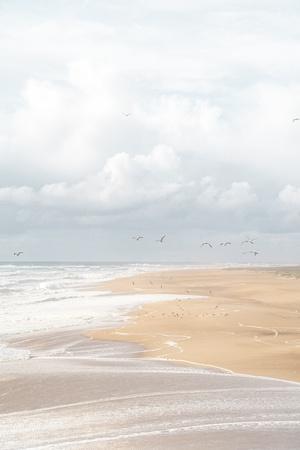 Photographic Print, , small