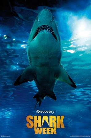 Poster, , small