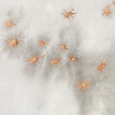 Art Print, , small